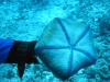 Underwater 12